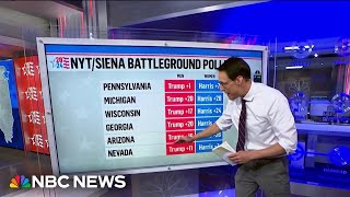 Steve Kornacki 2024 polls show a significant gender gap [upl. by Lunna359]