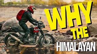 Why The Himalayan  2022 Royal Enfield Himalayan  Ol Man Ronin S5E11 [upl. by Sharla532]