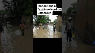 Inondations dans lextrême Nord du Cameroun 200 000 personnes affectées par ce drame [upl. by Notserp]