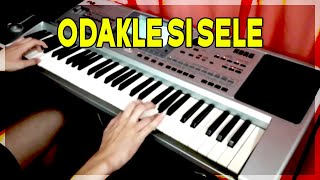 Odakle si sele  Snezana Djurisic Korg PA50 cover [upl. by Hsekar]