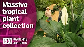 Exploring a massive collection of rare tropical plants  Discovery  Gardening Australia [upl. by Goodhen]