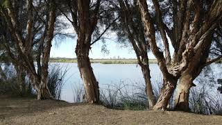 4K  Relaxing Drone Flight Over Herdsman Lake  Wildlife Sanctuary Australian Bird Calls [upl. by Ettenna]