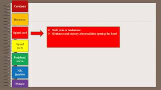 Localization In Neurology [upl. by Marrilee]