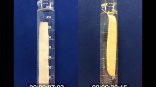 Wetting agent vs Conventional Surfactant [upl. by Annunciata]