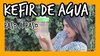 como HACER KEFIR de AGUA 💦 [upl. by Schreib]