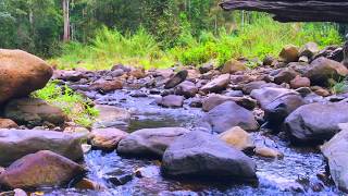 Gentle Stream Sounds  Relaxing Stream Sounds use for Relaxation Sleep insomnia [upl. by Tomasina]