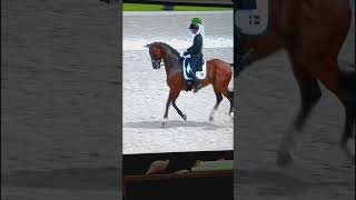 olympics dressage doublelife [upl. by Marissa]