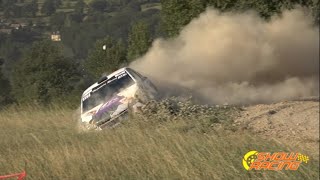 Rallye Terre de Lozère 2024  Best of Day 1  Show Racing [upl. by Zetana]