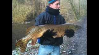 Monster Pike at Jumbles Reservoir Bolton 30122012 [upl. by Emmet]