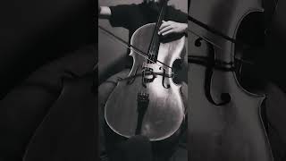 Kol Nidrei  Solo Cello  3141  Cello en partes shorts [upl. by Nauqaj]