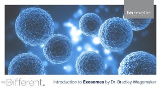 Lamelle Research Laboratories Introduction to Exosomes with Dr Bradley Wagemaker [upl. by Edgar]