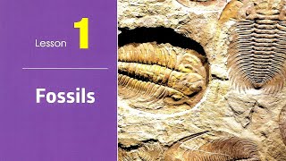 Prep 2 \ Science 2025  1st term \ unit 3\ Lesson 1  Fossils ساينس ثانية إعدادى لغات [upl. by Aliakam]