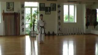 Fukyugata Ichi  Seibukan Karate Jinbukan Kobudo Shudokan Aikido RUSSIA [upl. by Bower]