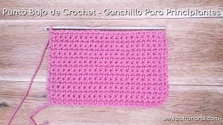 Punto Bajo de Crochet  Ganchillo Para Principiantes Paso a Paso Muy Detallado  Aprender Crochet [upl. by Ahsait]