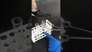 10 Biuret test for proteins and amino acids [upl. by Wendelin]