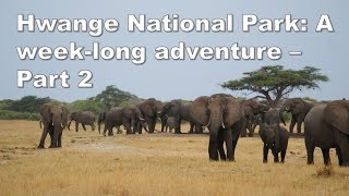 Hwange National Park A weeklong adventure  Part 23 [upl. by Anekahs193]