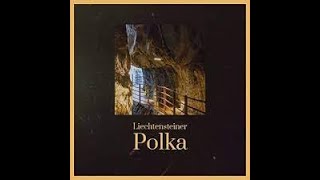 Liechtensteiner Polka  Cover Siegfried Schlag Tyros3 [upl. by Aisats309]