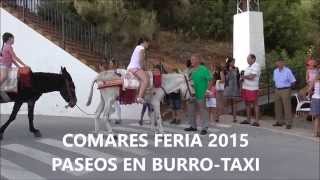 BURROTAXI COMARES FERIA 2015 [upl. by Enihpad435]