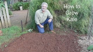 How to Plant and Grow Kale [upl. by Solana]