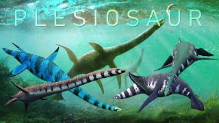 Plesiosaurs long neckshort head [upl. by Geldens256]