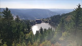 Wanderung auf die Hornisgrinde 13102023 [upl. by Ennayehc7]