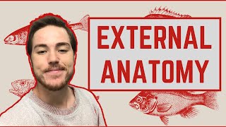 Ichthyology Lesson 3  External Anatomy [upl. by Nabetse393]