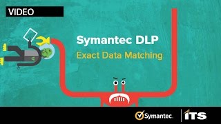 Symantec DLP Exact Data Match [upl. by Nilam]