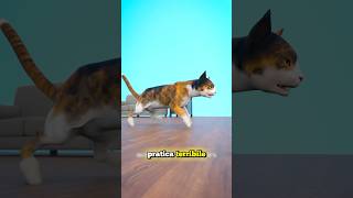 UNA TERRIBILE PRATICA SUI GATTI credits ​⁠zackdfilms [upl. by Winter51]