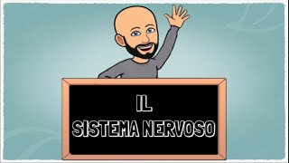 Il Sistema nervoso [upl. by Cale]