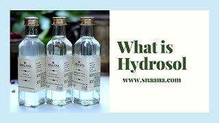 what is hydrosol Ark  How Steam Distillation Works  SNAANA [upl. by Aretha989]