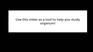 Introduction to Music History  Types of Organum [upl. by Julissa]