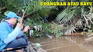 Mancing Udang Galah Sungai Kalimantan Mancing Udang Galah Terbaru [upl. by Intihw]