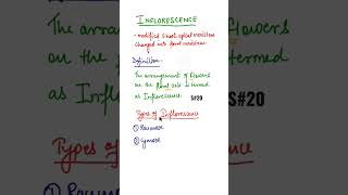 Definition of Inflorescence shorts inflorescence [upl. by Analah]