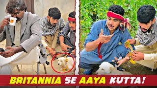 Bartania Se Aaya Kutta🐕 Kaise Chori hua Hassan jutt [upl. by Ilanos]