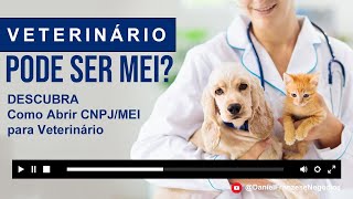 Veterinário Pode Ser Mei  Como Abrir CNPJMEI para Veterinário [upl. by Jackqueline]