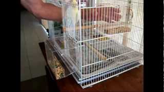 Tidy Seed NoMess Bird Feeder Full Demonstration [upl. by Clance848]