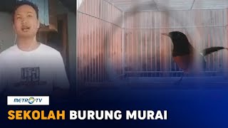 Intip Sekolah Si Burung Murai [upl. by Hanas]