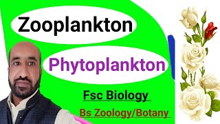 Difference Between Zooplankton amp Phytoplankton in urdu and Hindi Fsc biology Bs zoologyBotany [upl. by Bela]