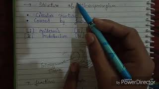 L01 Reproduction in flowering plants class 12 explain in hindi [upl. by Holland370]