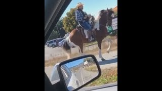 Horse Dances To Music On Sidewalk  Horse Dances With Its Rider [upl. by Patrizius422]