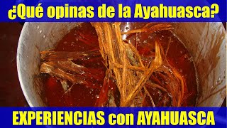 ¿Qué opinas de la Ayahuasca Experiencias con ayahuasca [upl. by Rodmann]