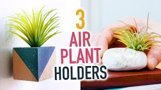 3 DIY Air Plant Holders  Cute Room Decorations  HGTV Handmade [upl. by Hsizan]