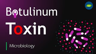 Botulinum Toxin  Botulism toxin  Clostridium botulinum  Basic Science Series [upl. by Cranston]