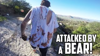 VICIOUS BEAR ATTACK Warning GRAPHIC CONTENT [upl. by Aver586]