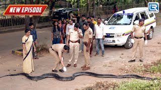 भीड़भाड़ वाले रास्ते में Cobra साँप को देखकर Police हो गई हैरान  Crime Series  Latest Episode [upl. by Vivica]