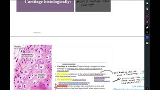 Histology  lecture 5 cartilage part 1 [upl. by Nhguav]