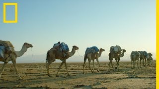 Tempête de sable dans le Désert Danakil [upl. by Anehsuc790]