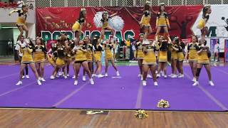 CHEER TOROS  FESTIVAL DE PORRISTAS 2017  MFL [upl. by Vassell221]