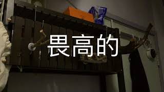 蜜袋鼯之日常房間大改造Daily of Sugar GliderModified the room for Sugar Glider [upl. by Haseefan257]