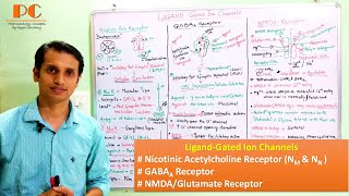 Ligand Gated Ion Channels Nicotinic GABAA and NMDA  Glutamate Receptor Hindi amp English [upl. by Jerold139]